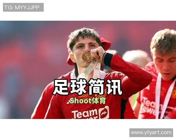 足球明星的猫狗联手踢足球展现萌趣竞技风采